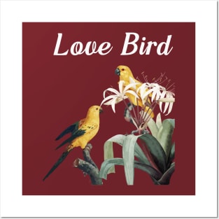 Love Bird Limited Posters and Art